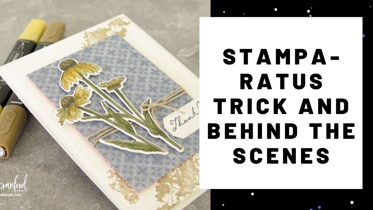 Cool Stamparatus Trick for Handmade Cards & Behind the Scenes