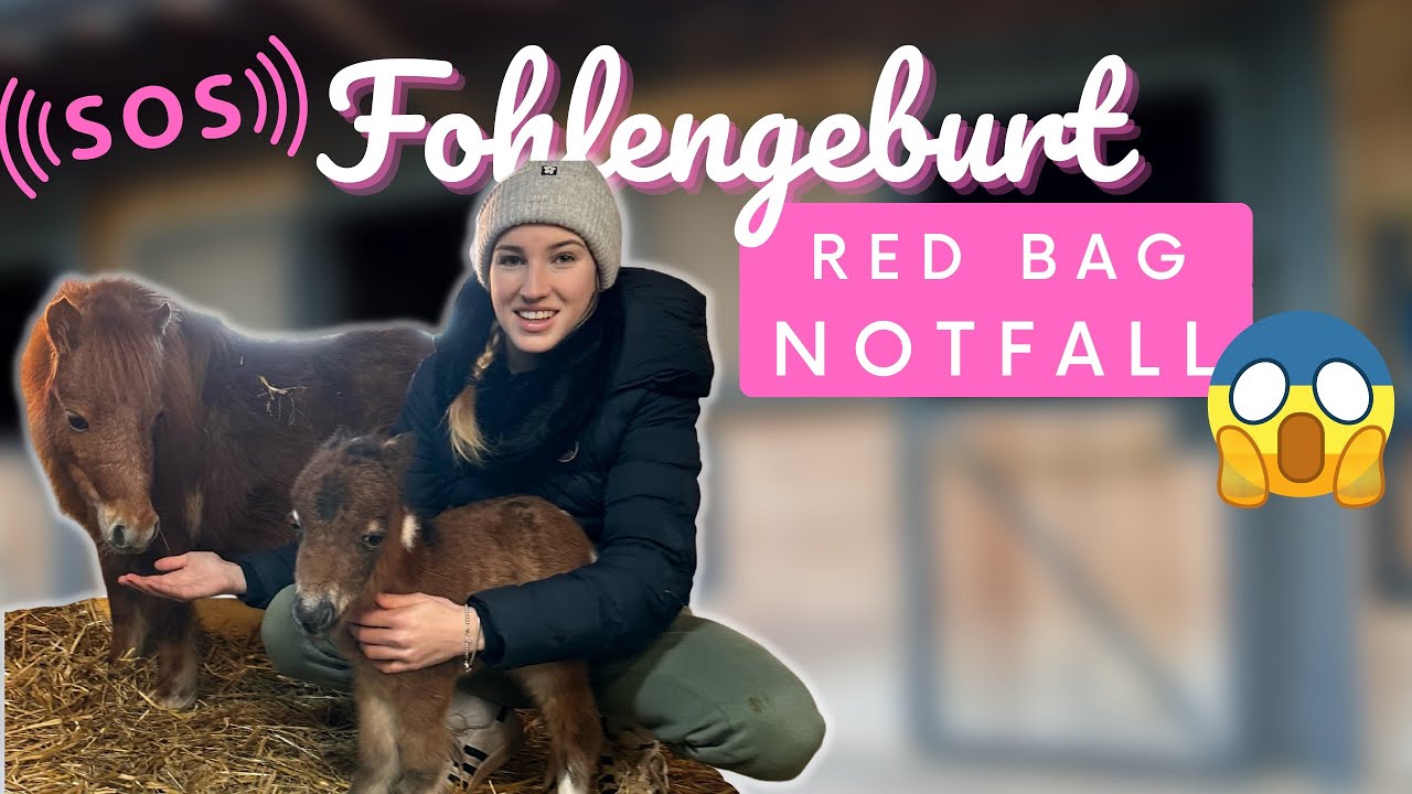 FOHLEN GEBURT 😱😍 RED BAG Notfall!❌