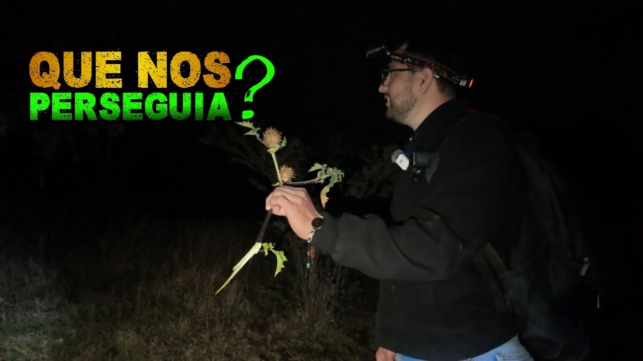 Seres de otra dimensión habitan este lugar: DUENDES, FANTASMAS o EXTRATERRESTRES 