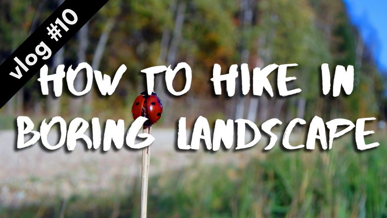 HOW TO HIKE IN BORING LANDSCAPE // Hiking Through Estonia vlog #10