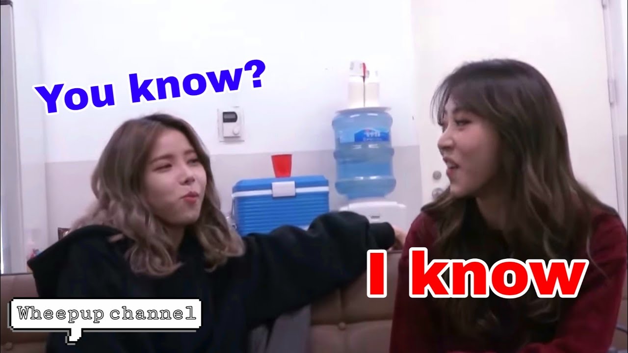 Mamamoo moments that only MOOMOOS can understand #1