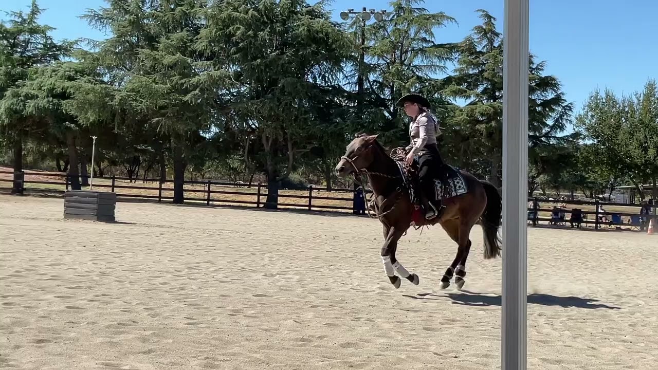 Mylea Trimble vs. Texas A&M (73)