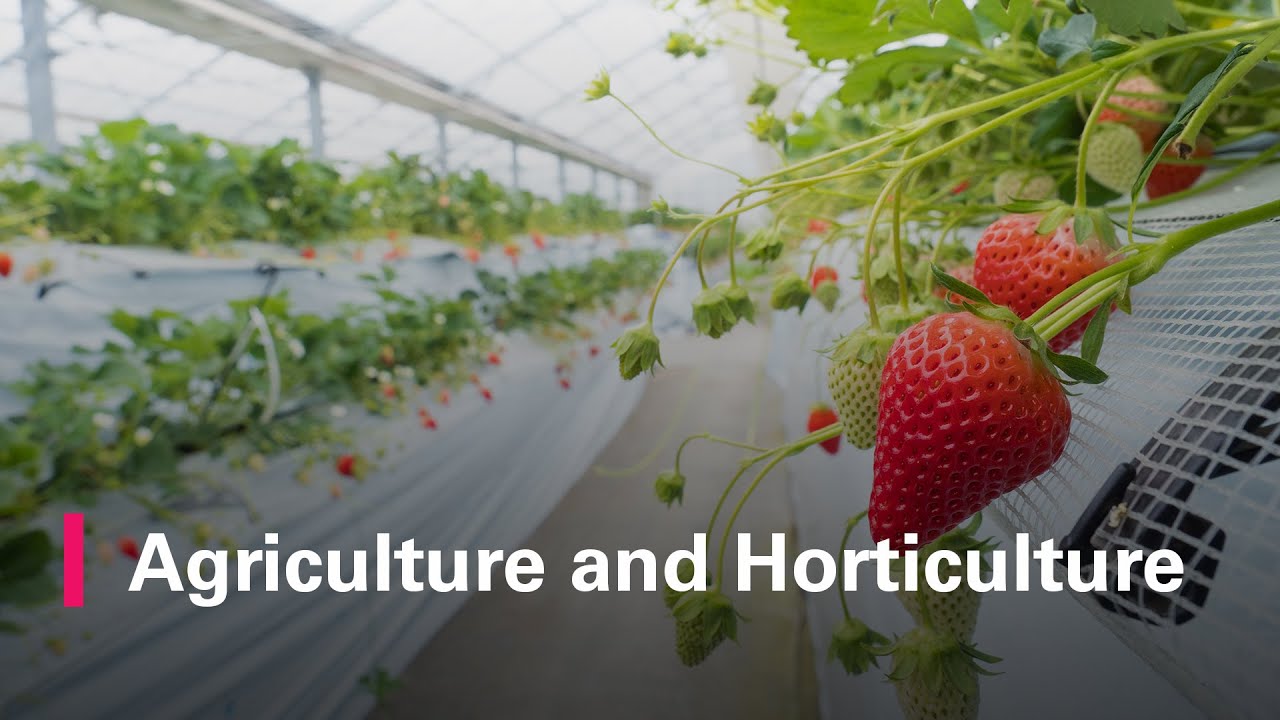 Agriculture and Horticulture at Brackenhurst | Nottingham Trent University