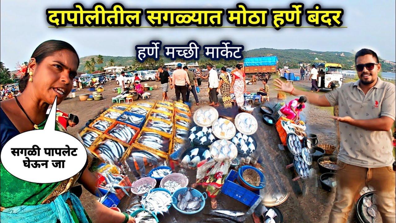 दापोलीला गेल्यावर झाला मोठा 