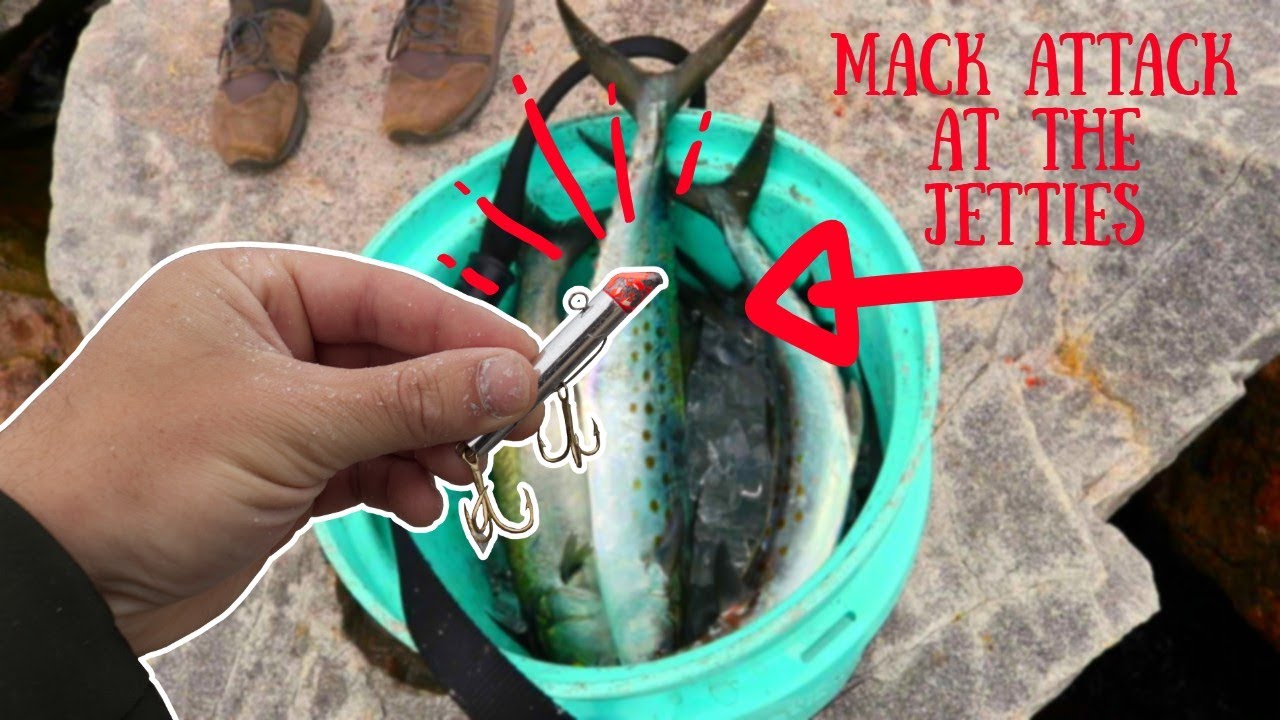 Spanish Mackerel Destroy This Lure (Catch, Clean, And Cook) (Mayport Jetties)