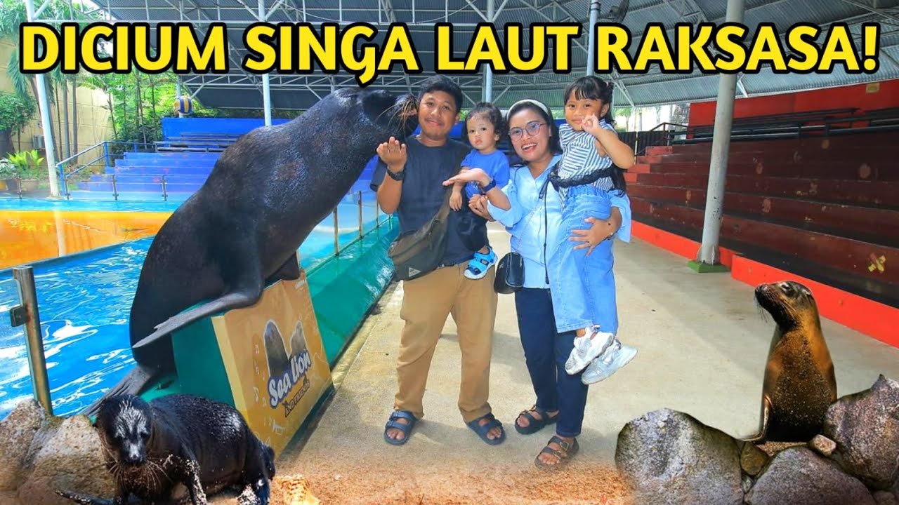 🟡MENJELAJAHI KEAJAIBAN BAWAH LAUT DI SAMUDRA ANCOL 🐬| alternatif rekreasi selain dufan !!!
