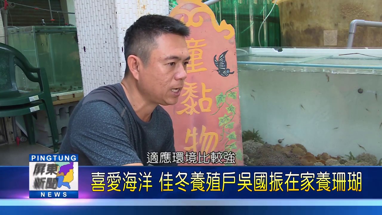 109 0220 喜愛海洋 佳冬養殖戶吳國振在家養珊瑚