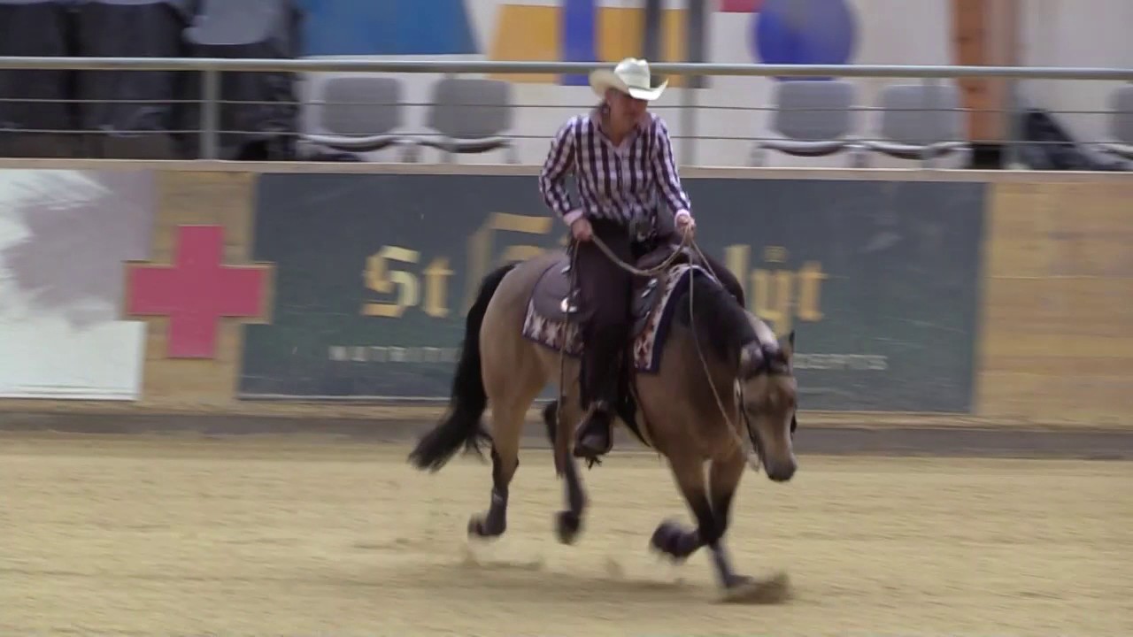 BARBARA SCHAER - ROWDY ROOSTER YANKEE
