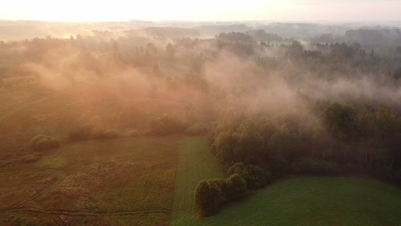 P. Vasks  Evening Music – Iveta Apkalna / Valentino Worlitzsch