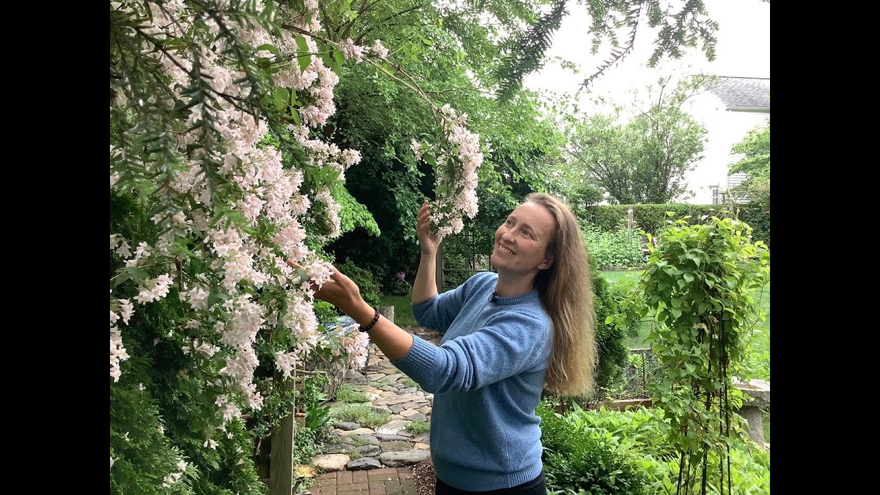 Как вырастить красавицу