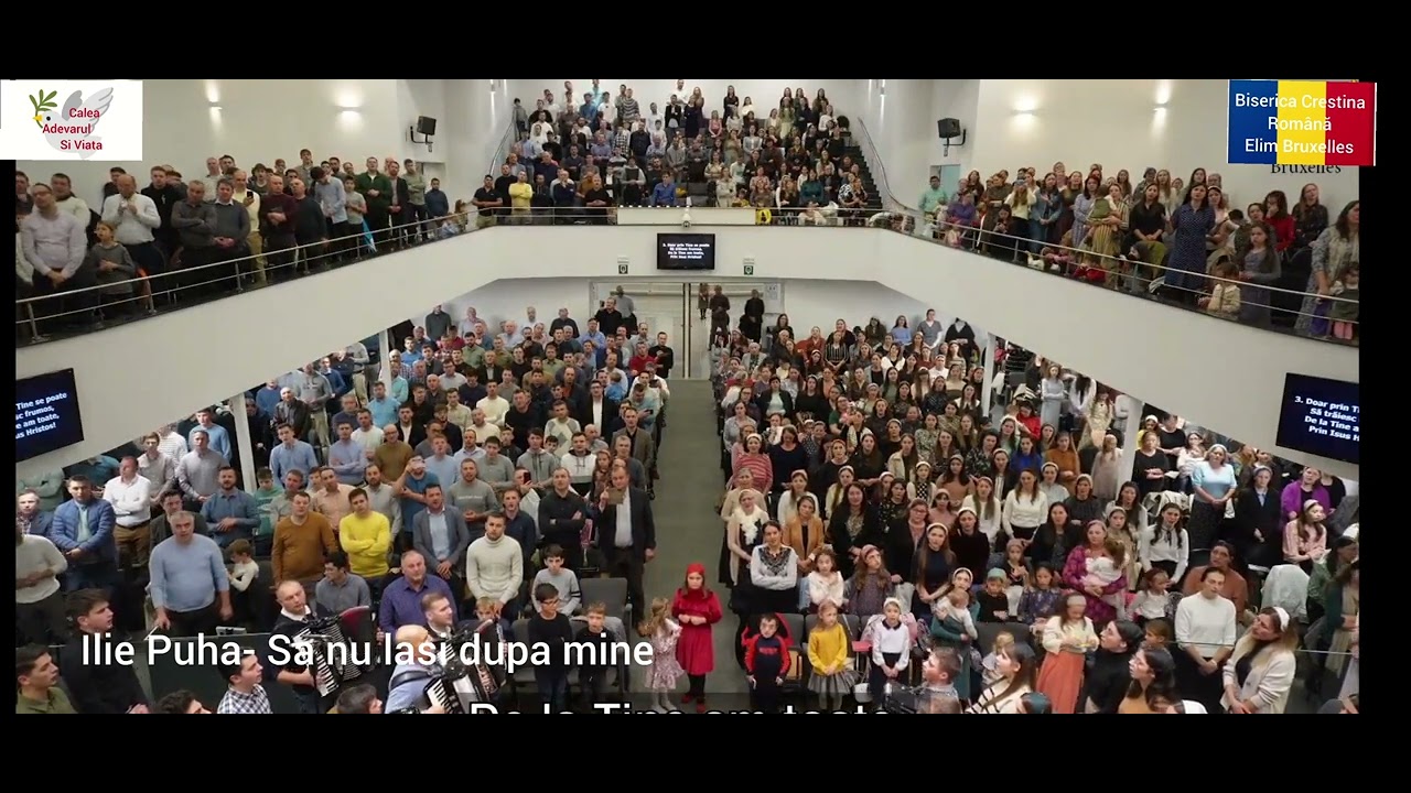 Ilie Puha- Sa nu lași dupa mine