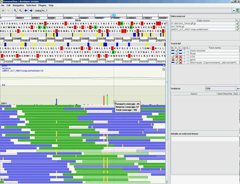 GenomeView demo: C. albicans paired-end Illumina resequencing