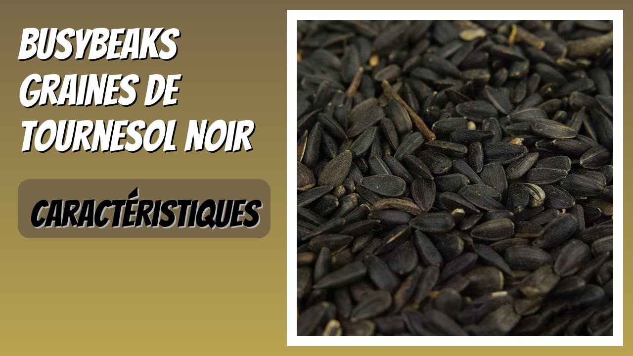 AVIS (2026) : BusyBeaks Graines de Tournesol Noir. DÉTAILS