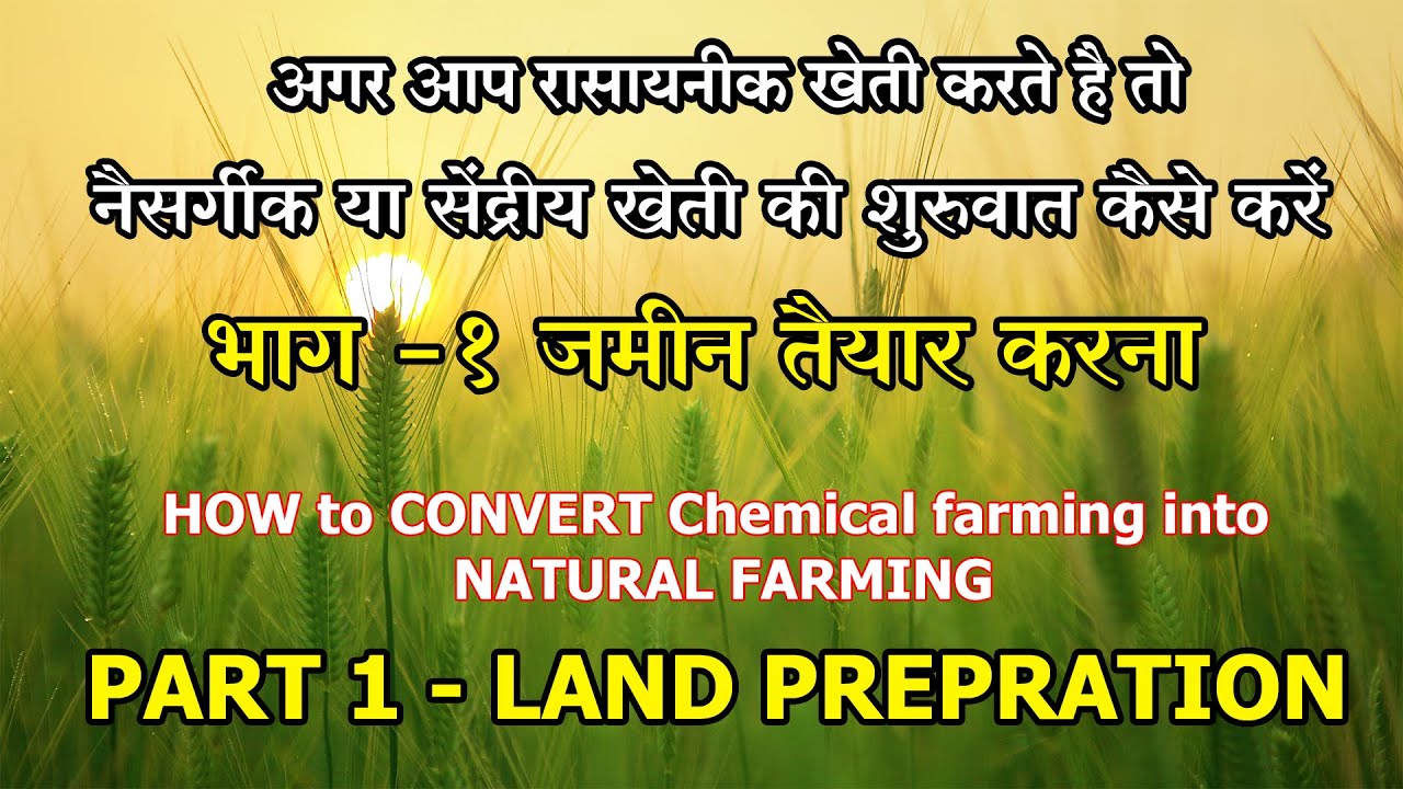 How to CONVERT CHEMICAL FARMING  INTO NATURAL /ORGANIC FARMING