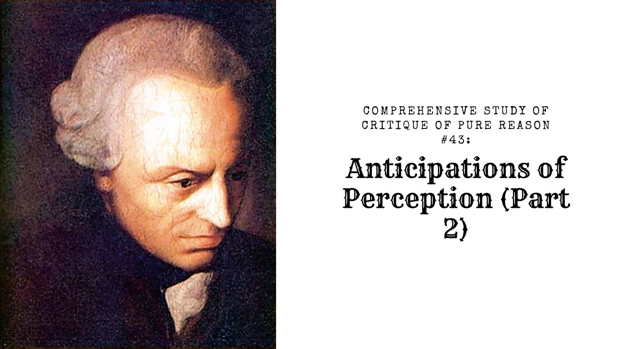 Comprehensive Study of Critique of Pure Reason #43: Anticipations of Perception (Part 2)