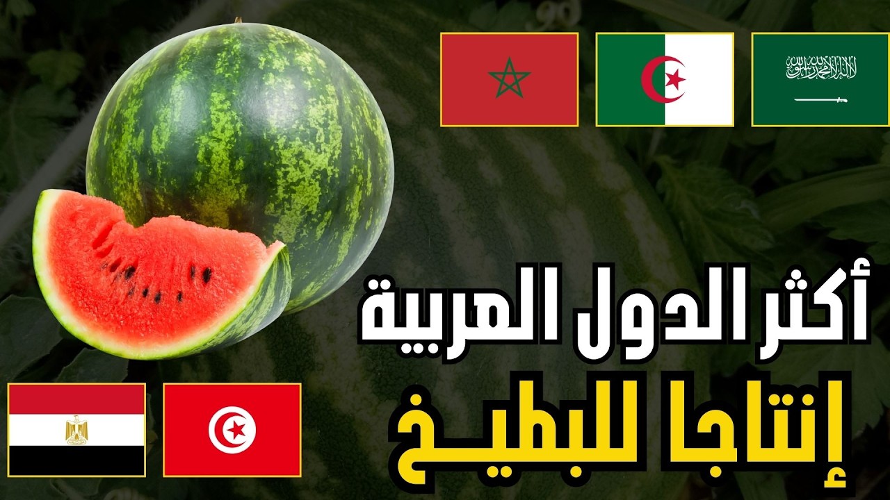 🍉 من يتصدر إنتاج البطيخ الأحمرفي الدول العربية؟ | ترتيب الدول العربية حسب إنتاج البطيخ(الفاو 2026)