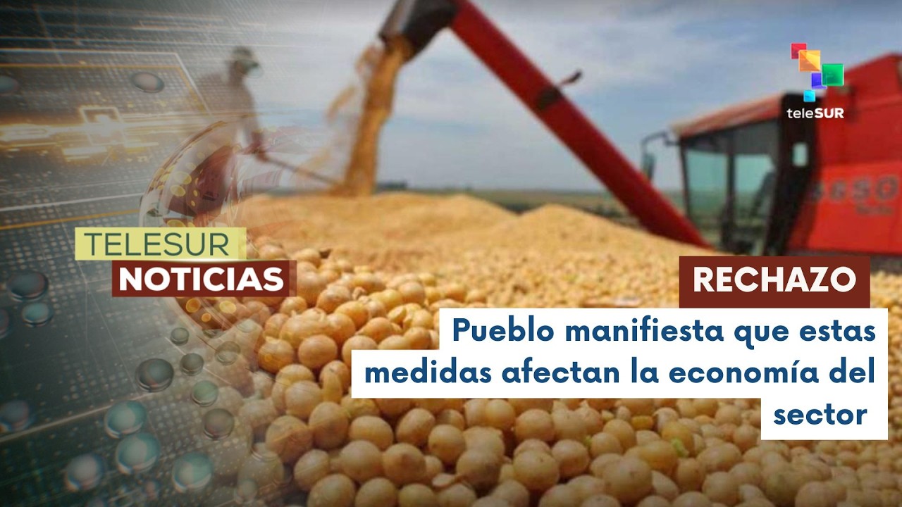 Bolivianos rechazan la libre importación de soya