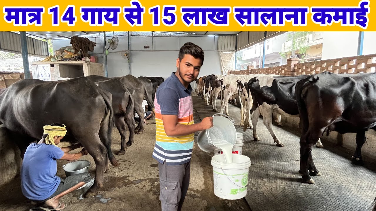 युवा का सफल डेरी फार्मिंग बिज़नेस || dairy farming business plan