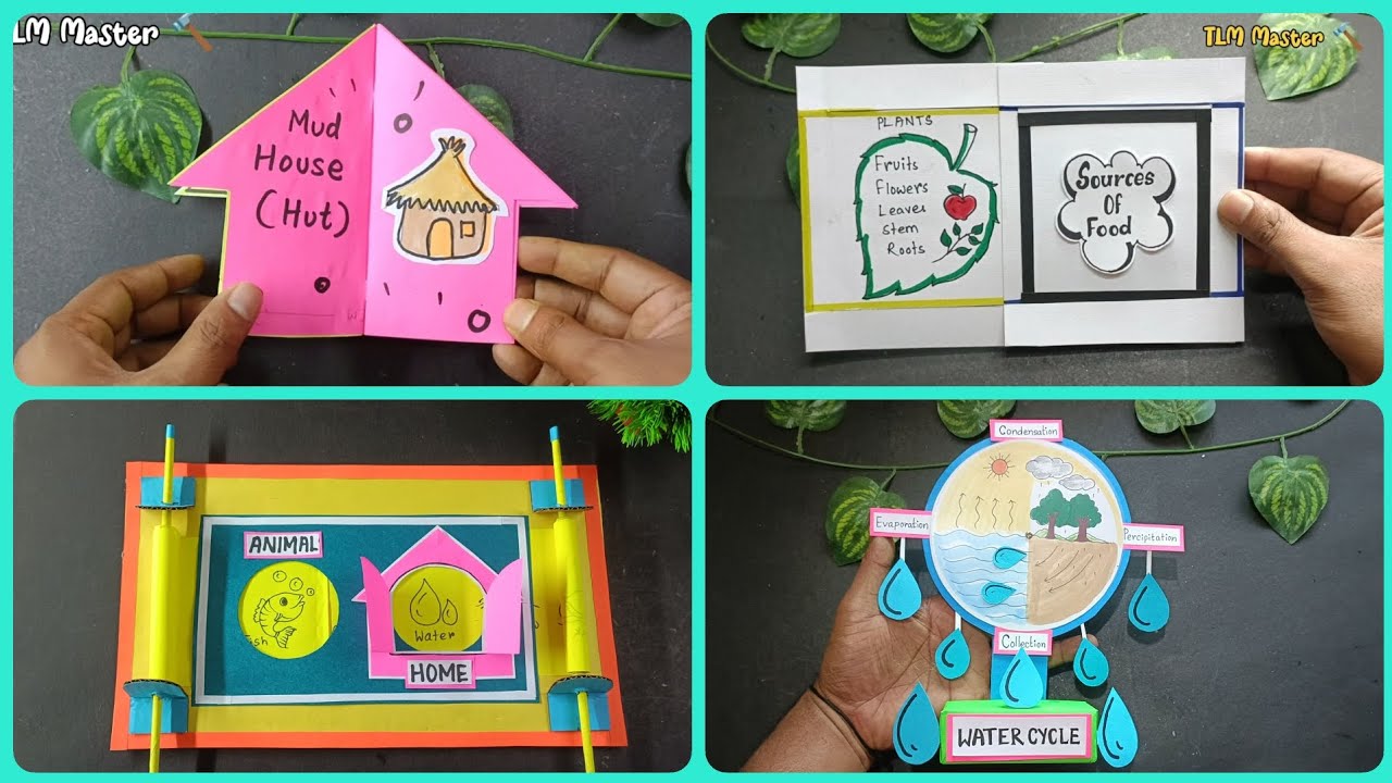 4 Best EVS TLMs for primary school || EVS TLMs|| Tlm for primary school 