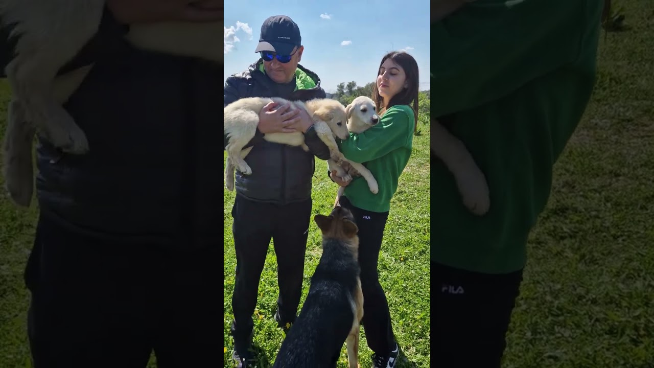 CLEO E LUNA ADOTTATE.INFO ADOZIONI:3404754484