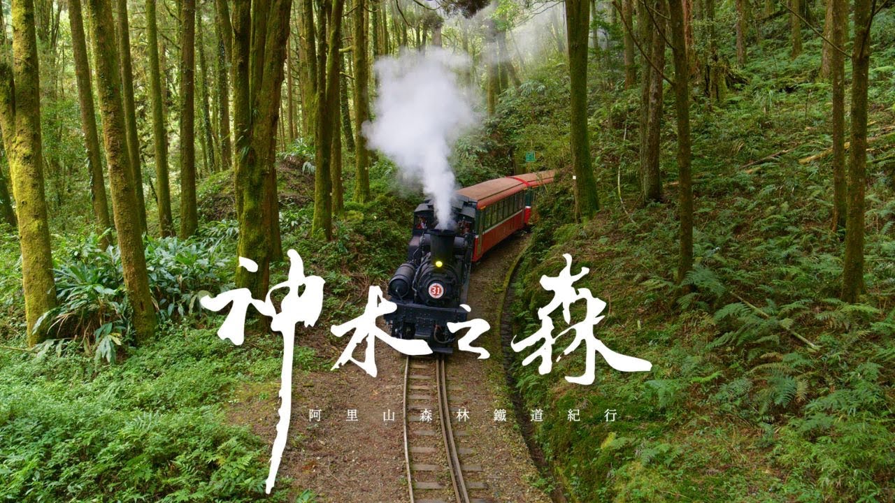 鐵道迷愛百年蒸汽火車頭｜神木之森：阿里山森林鐵道紀行