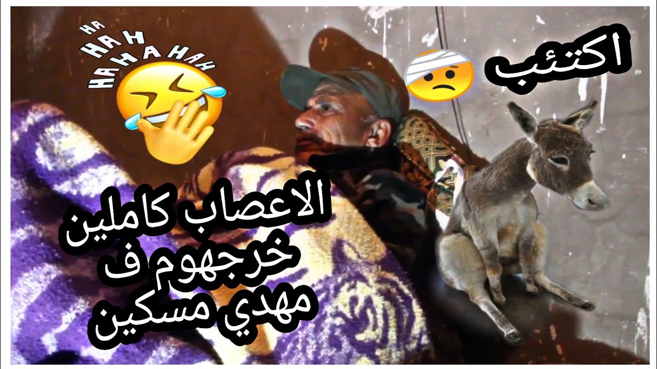 لحمار لبيض همل وتودر عاود😂 وعمي حماد كره وسخط قاسو اكتئاب🤕ماعندو زهر مع الحمير😂🤣😂