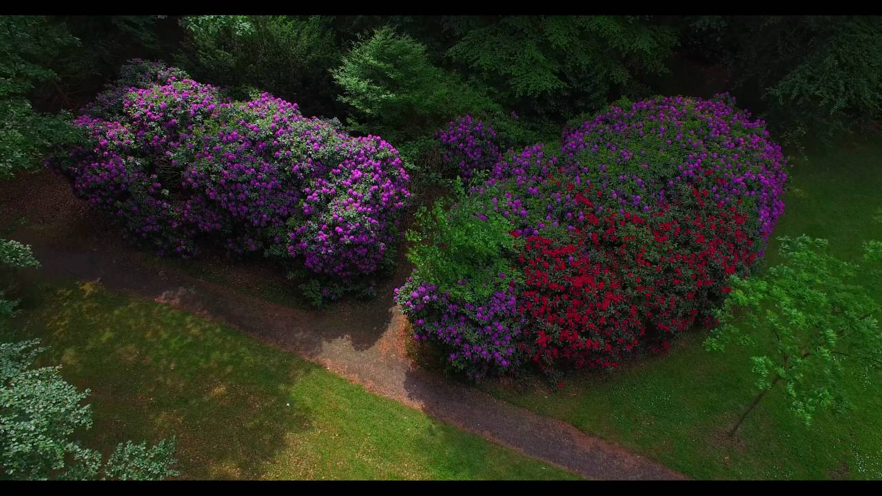 Het Rondeel bij Gooilust natuurmonumenten 's-Graveland