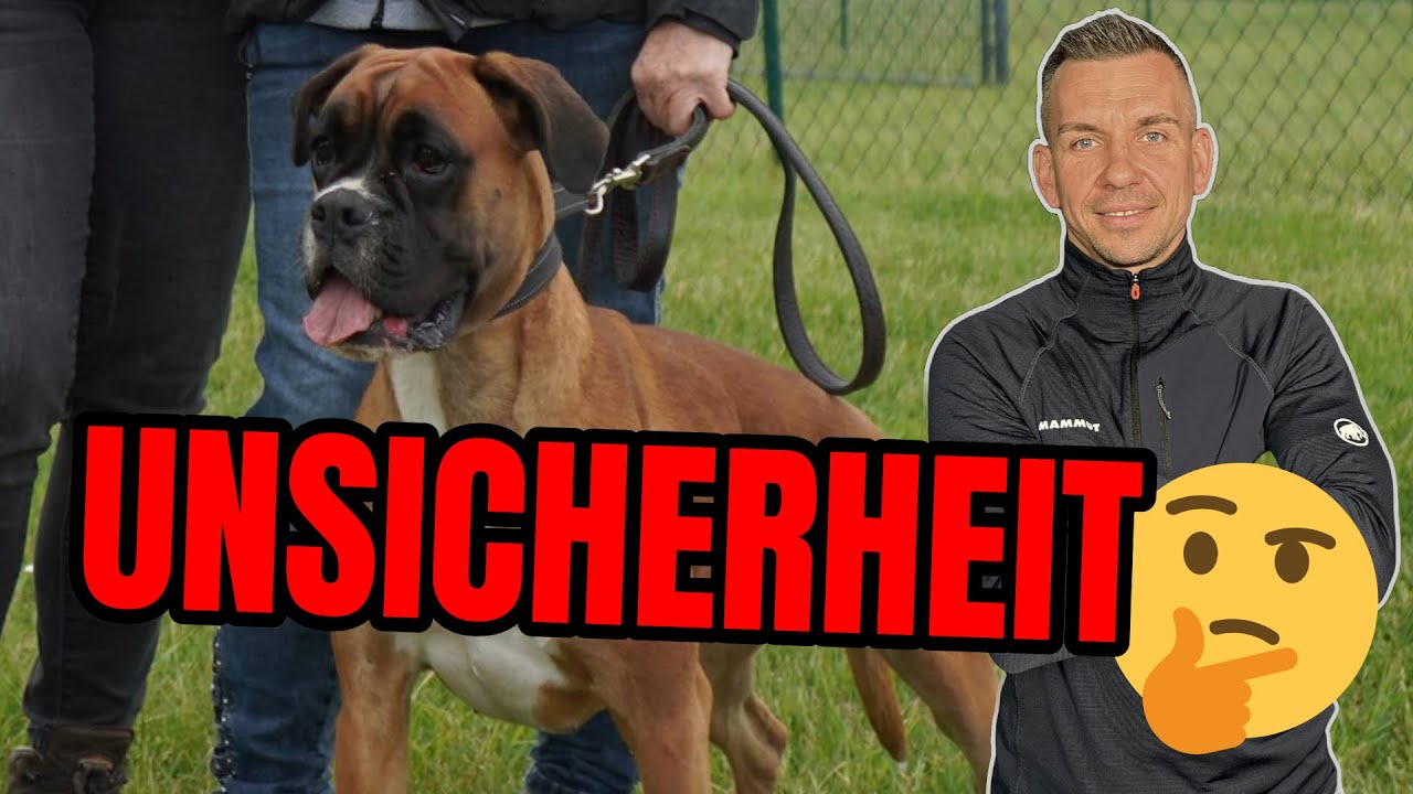 Unsicher und Aggressiv? - Klare Zeichen aufzeigen!