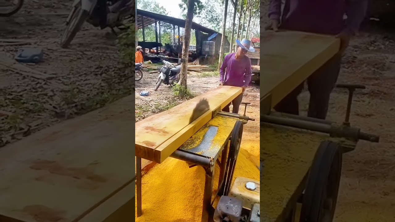 serrando madeira e tirando t&aacute;buas de ip&ecirc; no meio do mato
