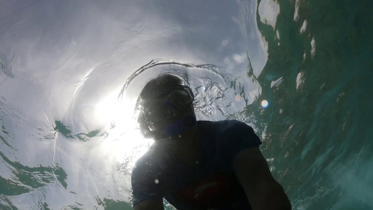 Diving snorkeling Eilat