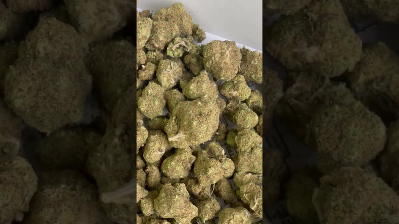 Zkittlez by The Tree CBD