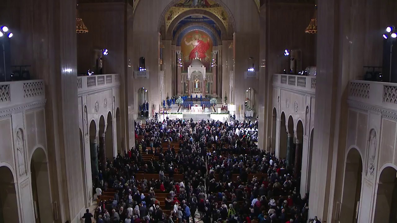 Solemnity of the Immaculate Conception & Dedication of the Trinity Dome