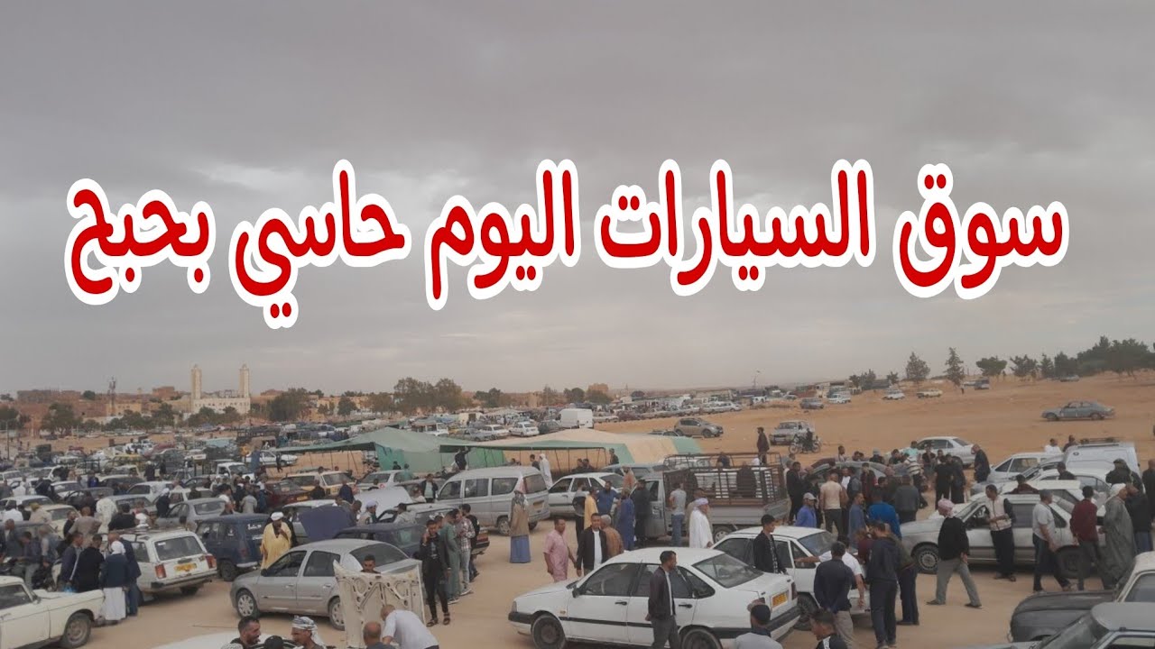 سوق السيارات بمدينة حاسي بحبح اليوم
