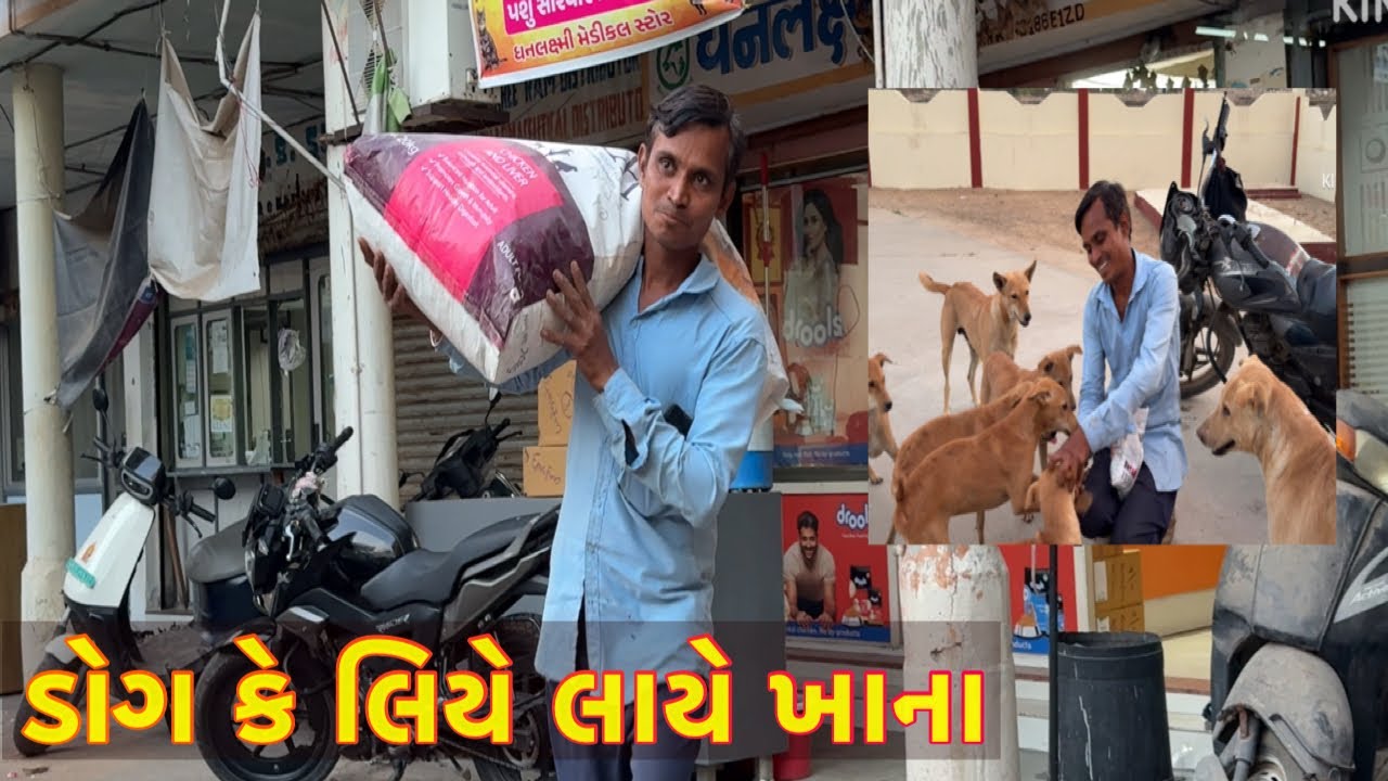 ડોગ માટે લાયા ખાવાનું // dog mate layaa food // animals lover vlog 