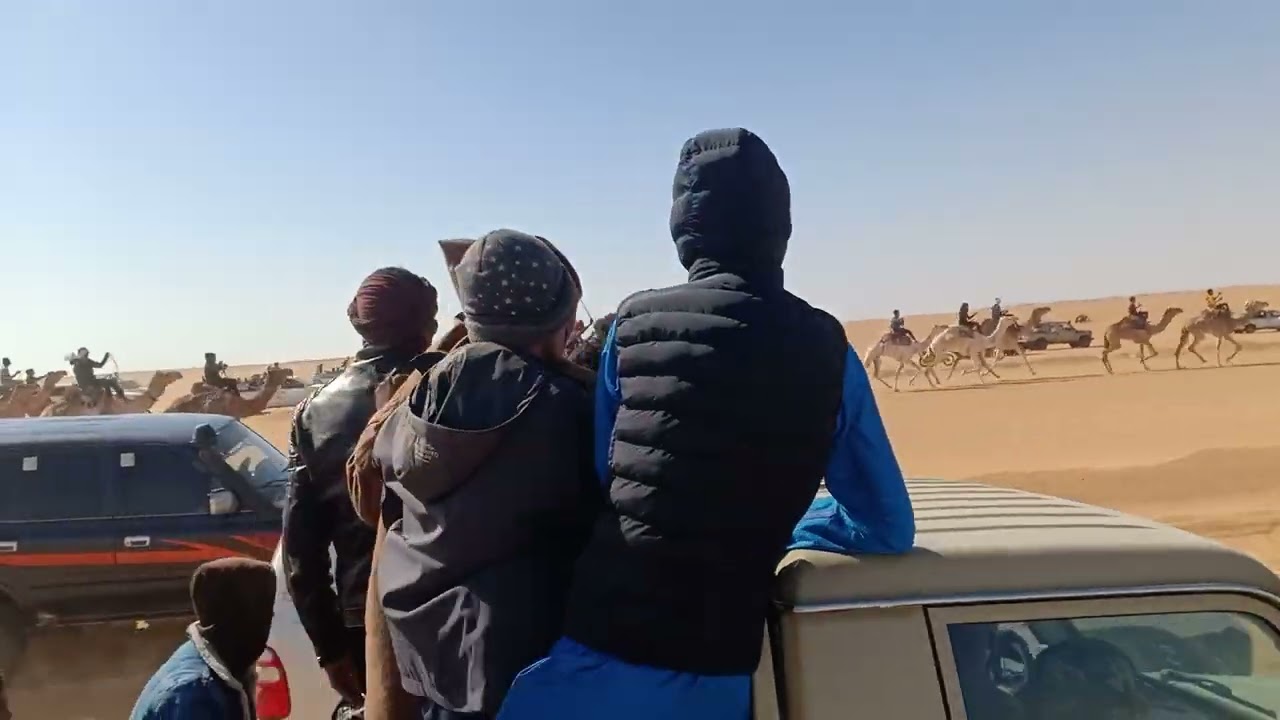 سباق المهاري ورقلة