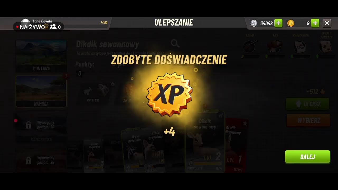 kadorv4