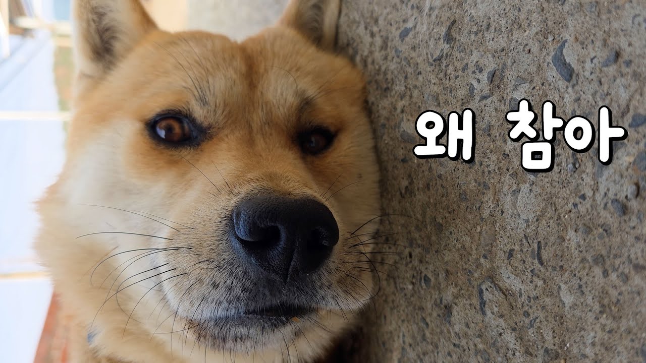 버티고 참는게 아니야