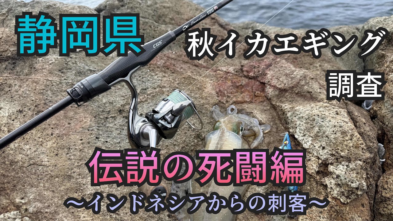 ［エギング］静岡県秋イカ調査！ストイストCGSで伝説の死闘を繰り広げる。