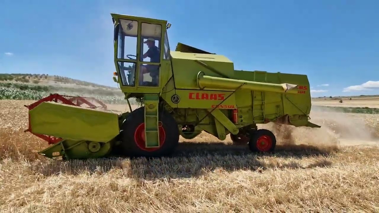 Claas Consul žetva pšenice 2025