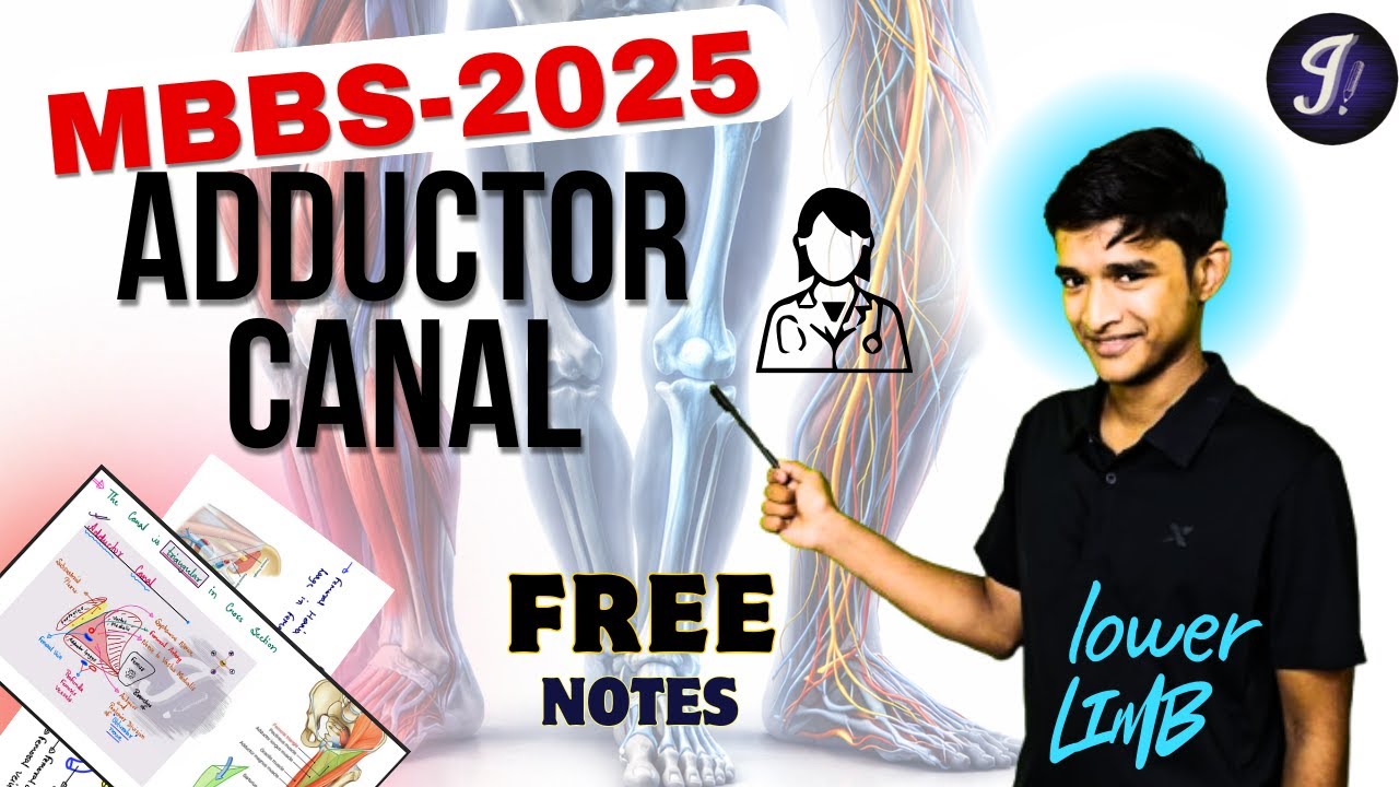 Adductor Canal | University Exam Oriented | MBBS 1st Year | Lower Limb Anatomy