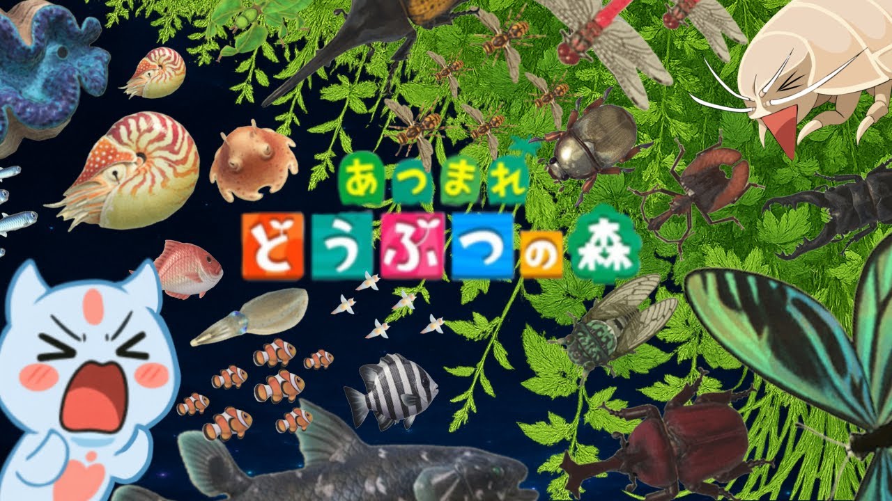 【あつ森】生き物を解説！深海生物を捕獲！？