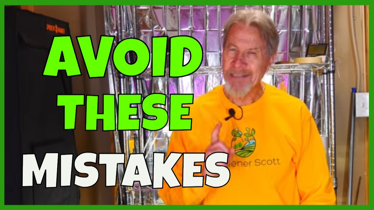 Безотказный посев семян (избегайте этих распространенных ошибок)