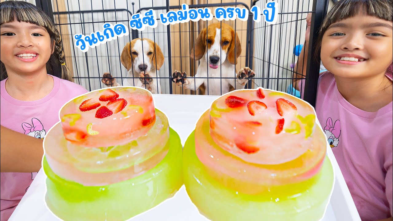 หนูยิ้มหนูแย้ม ทำเค้กน้ำแข็งฉลองวันเกิด ซีซี่เลม่อน ครบ1ปี