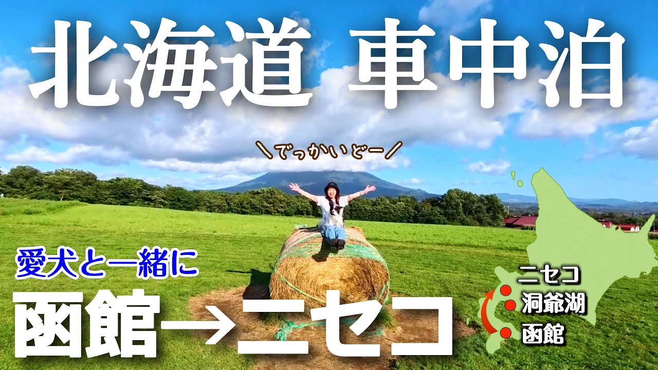 【北海道 車中泊旅】函館とニセコを愛犬と楽しむ　｜函館朝市｜立待岬｜洞爺湖サイロ展望台｜ニセコ高橋牧場