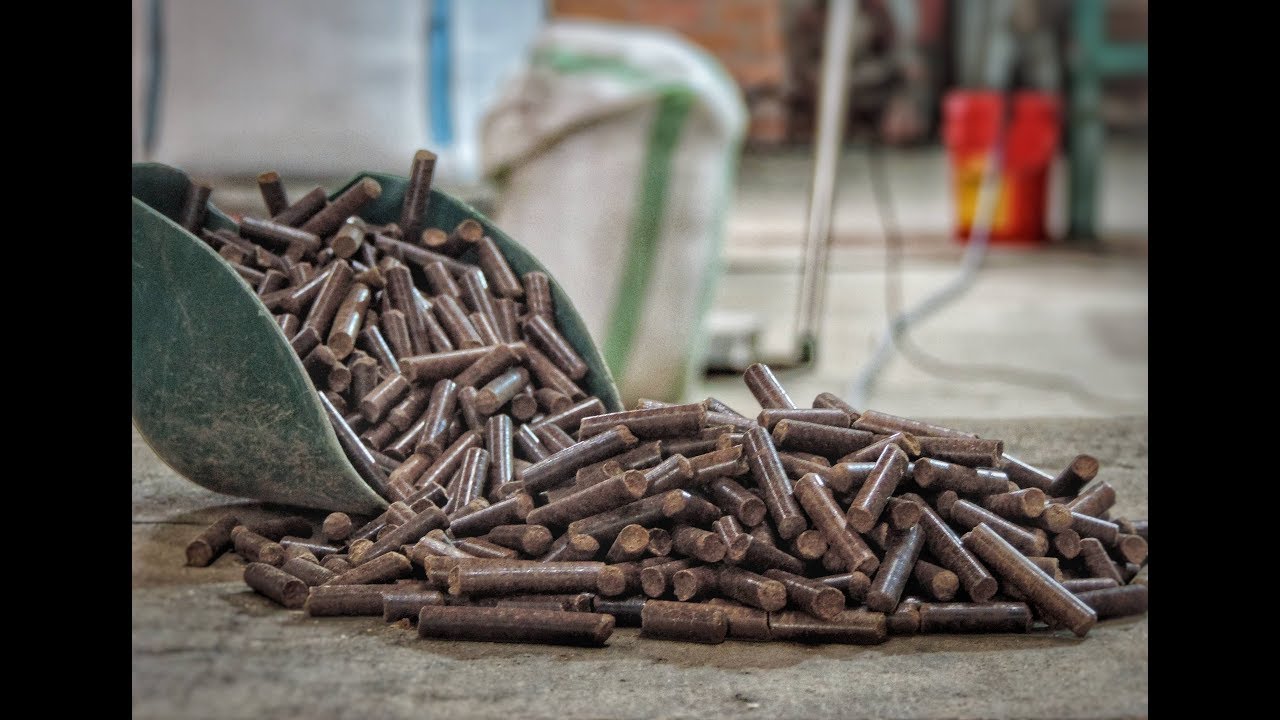 🧪🔥 TRANSFORMING COFFEE RESIDUES IN BIOFUELS - PELLETS