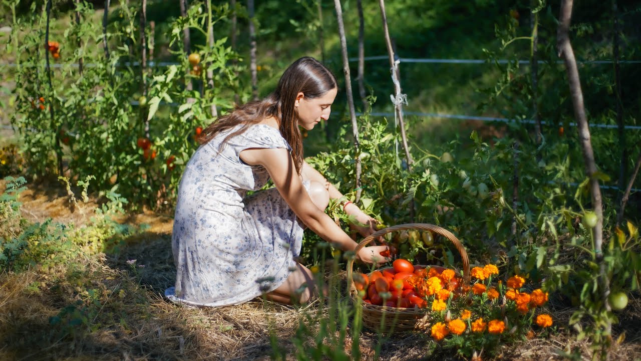 Autoproduzione: Passata di Pomodoro per l'Inverno | Vita Quotidiana in Appennino (Ricordo 33)