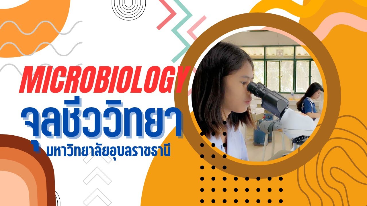 แนะนำ หลักสูตรจุลชีววิทยา มหาวิทยาลัยอุบลราชธานี [Microbiology program, Ubon Ratchathani University]