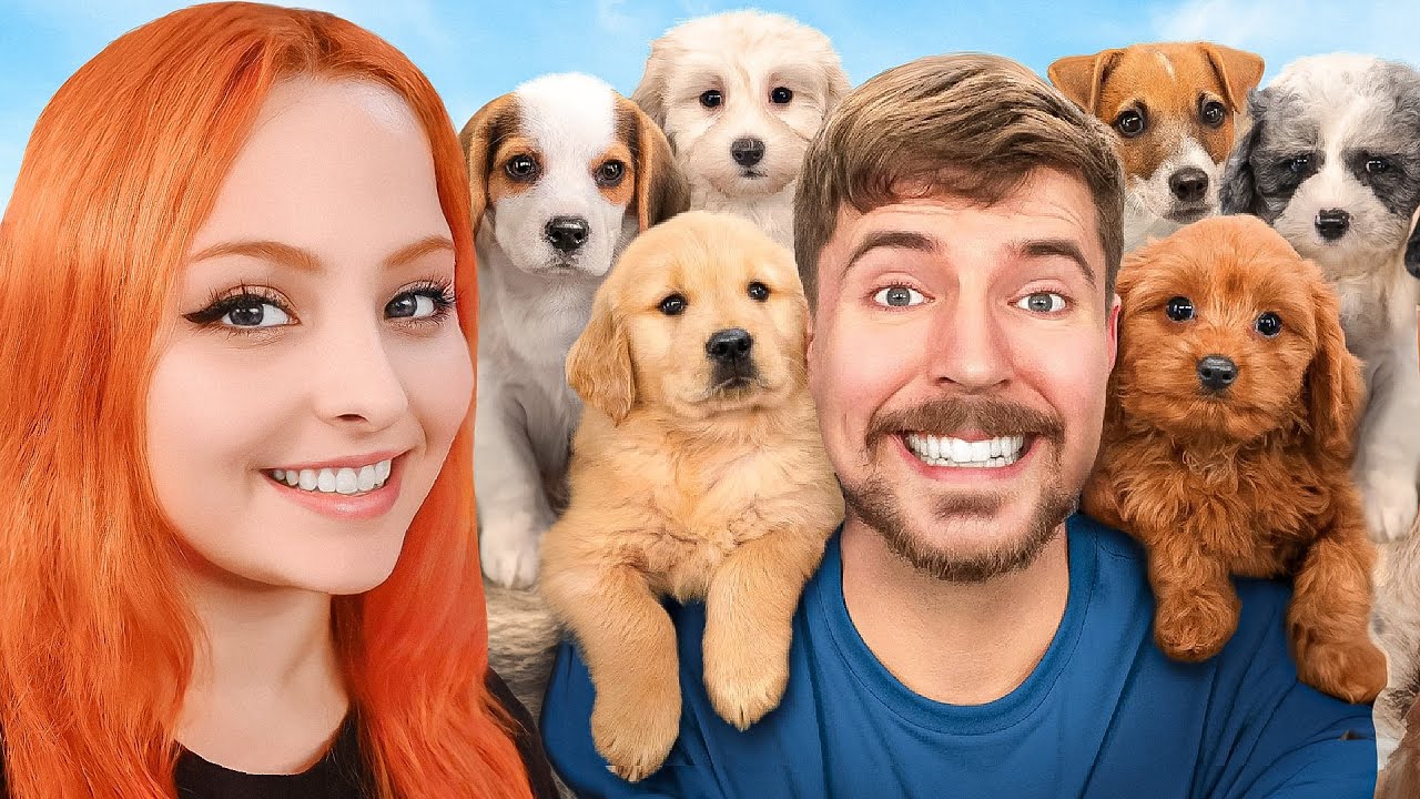 MR BEAST ADOPTÓ 100 PERROS 🇦🇷 INCULTA REACCIÓN