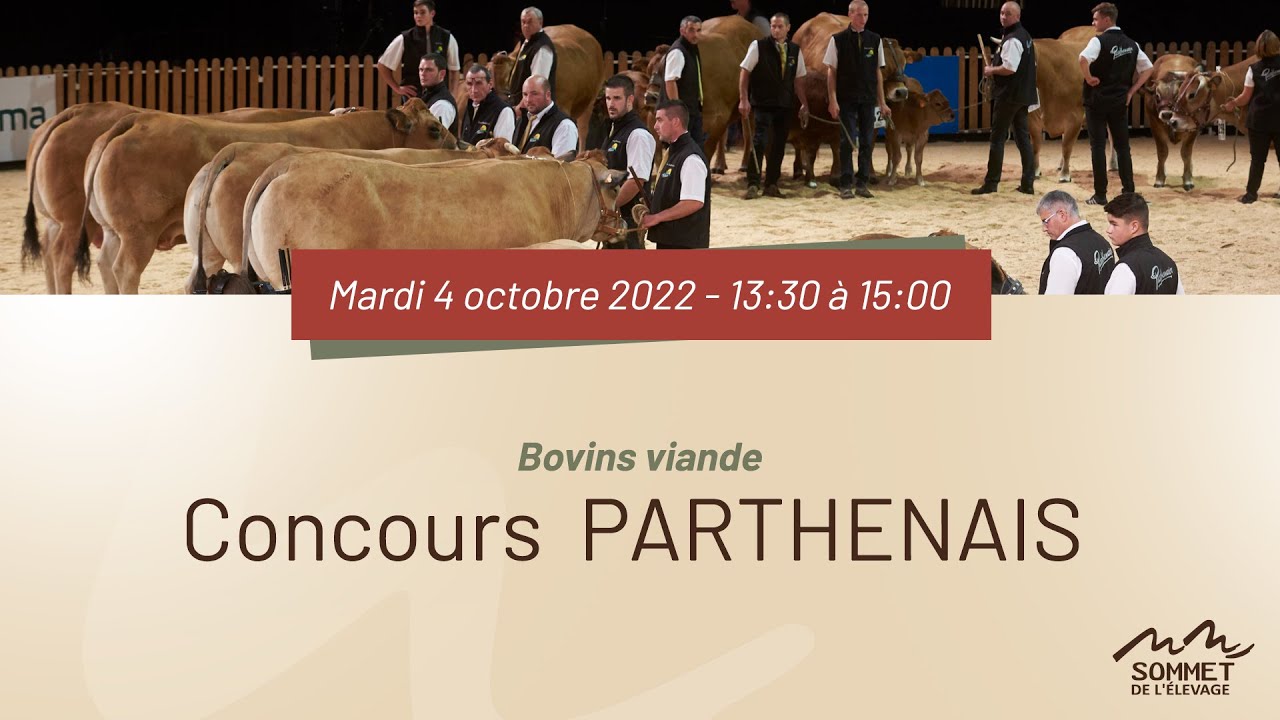 Sommet de l'élevage 2022 - Concours PARTHENAIS - 04/10/2022
