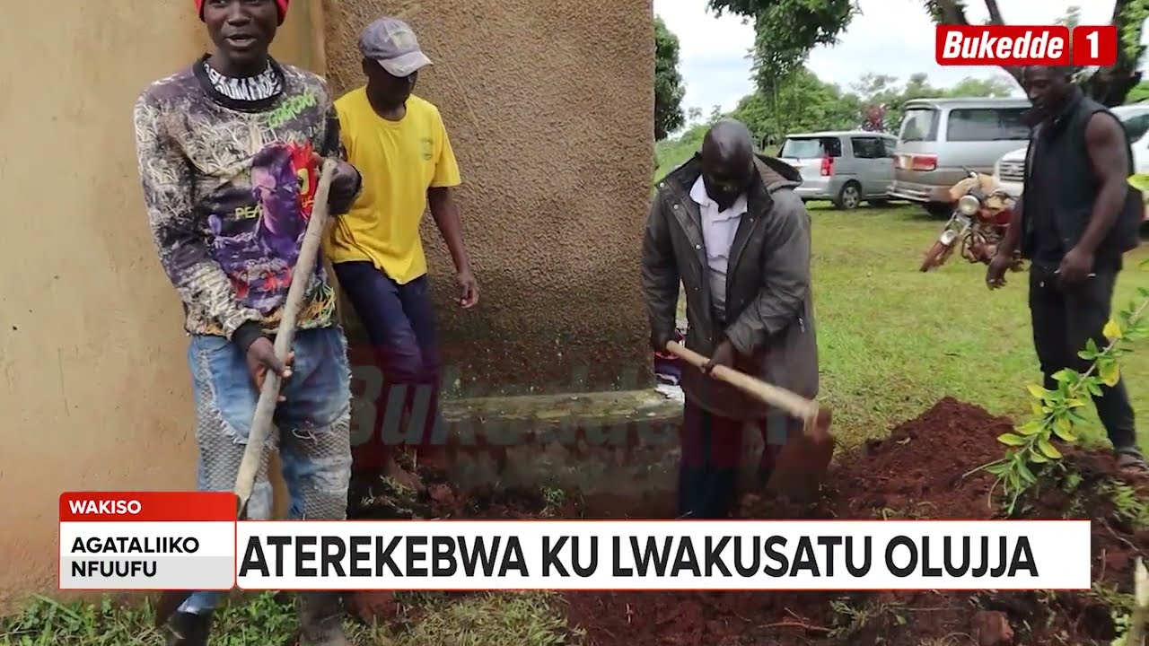 Agataliikonfuufu:  Omutaka w'Ekika kye Mmamba eyabula, Aterekebwa ku Lwakusatu n'okutuuza omuggya.